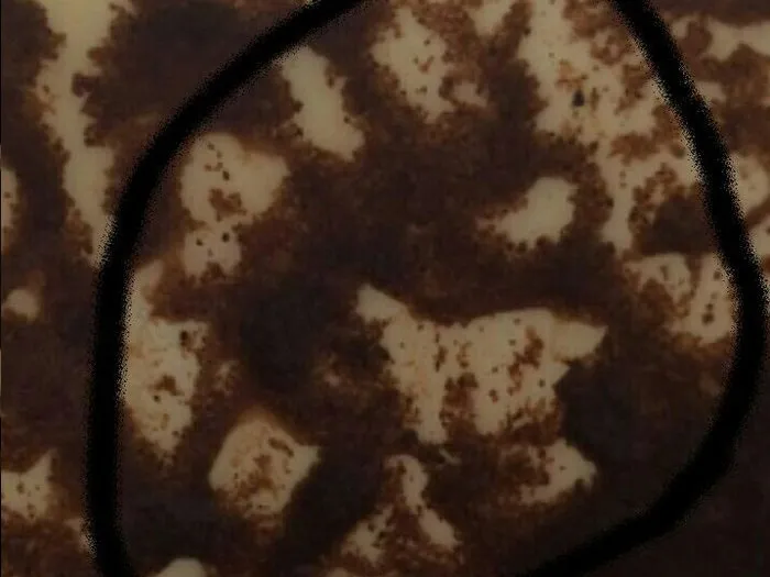 Запись на прием к гадалке в Сосновом